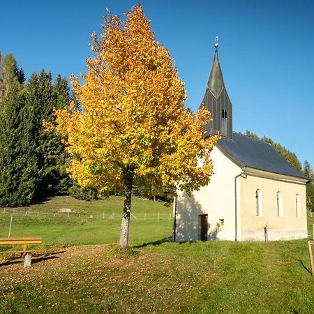 Hauserhof Am Goldberg Dellach  Exteriér fotografie