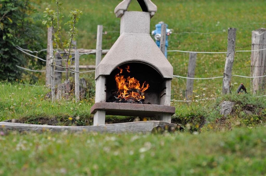 Hauserhof Am Goldberg Dellach  Exteriér fotografie