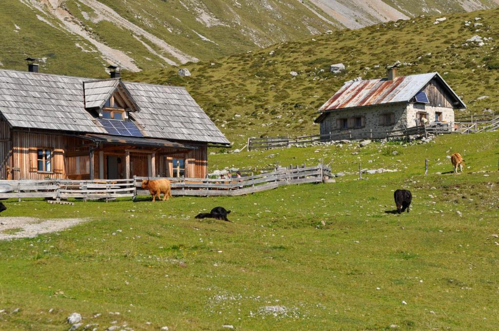 Hauserhof Am Goldberg Dellach  Exteriér fotografie